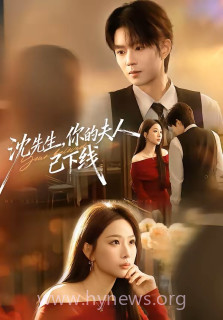 沈先生你的夫人已下线
