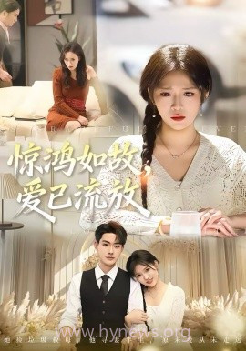 惊鸿如故,爱已流放