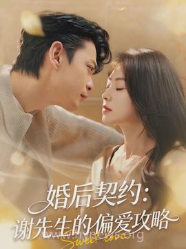 婚后契约:谢先生的偏爱攻略