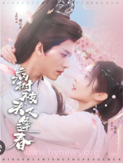 病树枝头又逢春