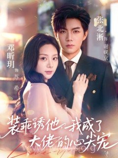 装乖诱他,我成了大佬的心尖宠